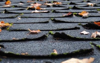 4 Signs That it’s Time for a New Roof