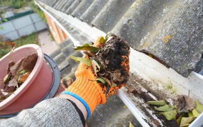 5 Essential Tips to Clean Your Home’s Gutters Safely